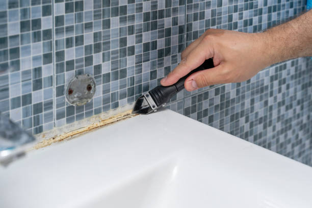 Best Residential Mold Removal  in Eau Claire, WI